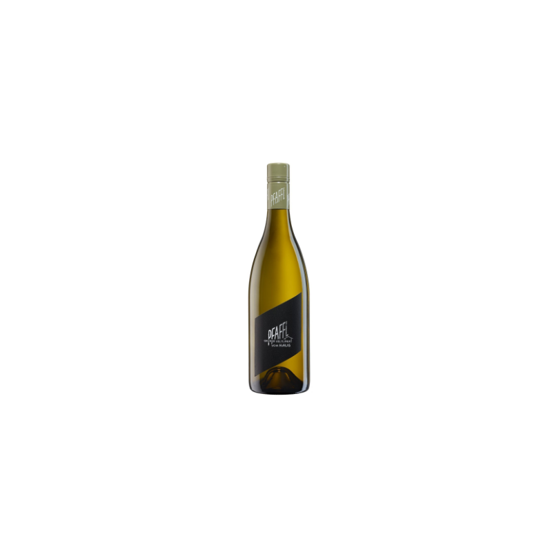 Gruner Veltliner Vom Haus - Pfaffl